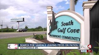 Search for vandals leaving feces on patios