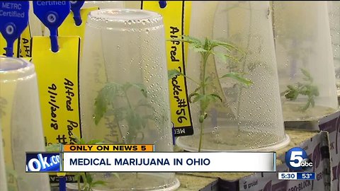 First steps towards Ohio's medical marijuana happening in cultivation facilities across the state