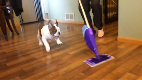 Bam Bam vs. Swiffer