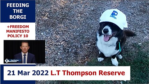 5:30pm 21 Mar 2022 - Feeding the Borgi (+ LibDem Policy 10): L.T Thompson Reserve, Essendon