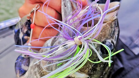 4 Spinnerbait Colors to Conquer it ALL!