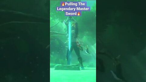 The Legend of Zelda: Breath of the Wild: The Legendary Master Sword