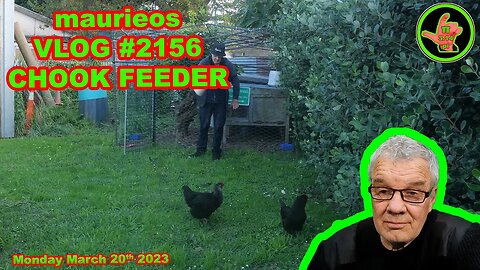 maurieos VLOG #2156 CHOOK FEEDER