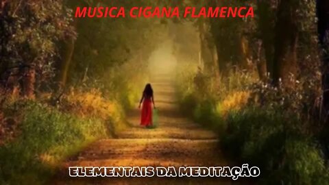 MUSICA CIGANA FLAMENCA - MUSIC GITANA