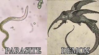 20230903 MICRO WARS: PARASITES ARE DEMONS (CLEAR UNINTERRUPTED VERSION) (MINISTER DEREK HALLETT)