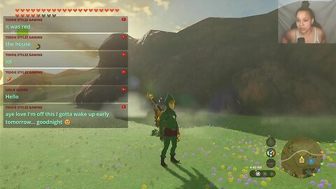 Zelda TOTK I found some side quests