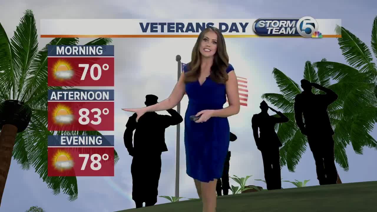 Veterans Day forecast