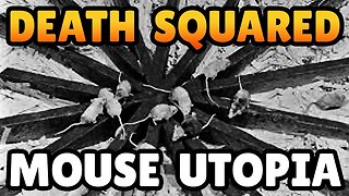 Death Squared - What Mice Tell Us About Overpopulation - Mouse Utopia