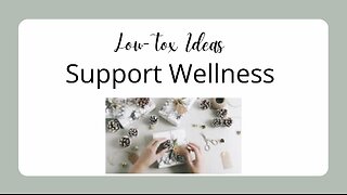 Low Tox Ideas Wellness Support