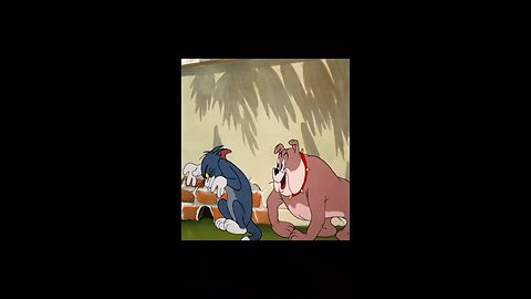 Tom and jerry cartoon full funny🤣🤣🤣🤣🤣