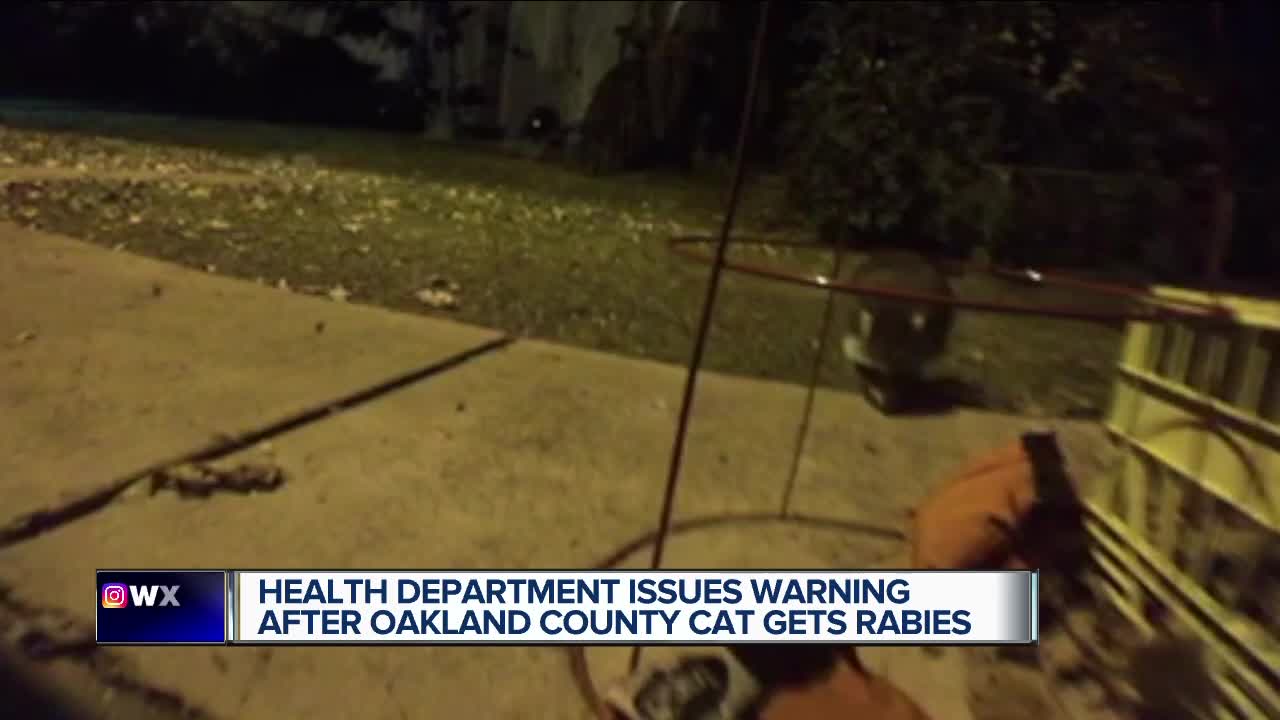 Health Department issues warning after Oakland County cat gets rabies