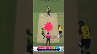 #cricket