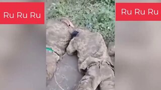 , Ukrainian troops surrendered to Russian troops cuz Zelensky let his men die without food.