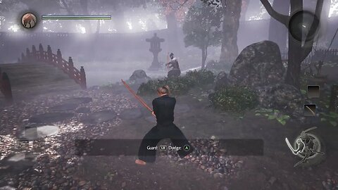 Nioh glitch