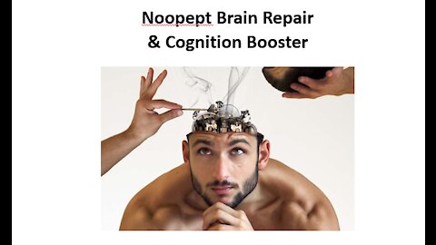 Noopept's - The Brain Booster