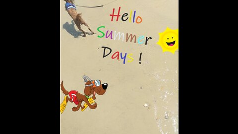 Hello Summer Doggy Days ! ☀️