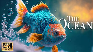 океан 4K - Замечательный фильм о дикой природе с успокаивающей музыкой