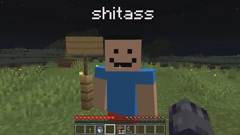 "HEY SHITASS" minecraft compilation 4
