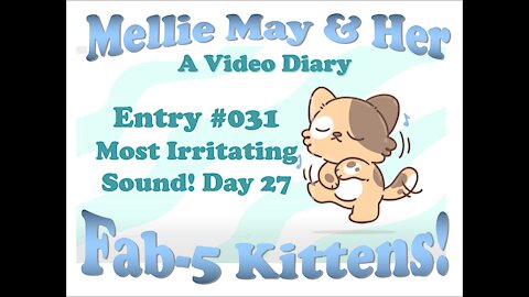 Video Diary Entry 031: Day 27 - Got The Mouse! Tessie It Is! Most Irritating Sound!