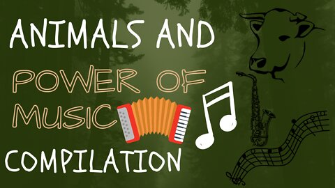 Animals and the power of music