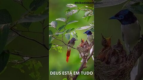 Deus está em tudo principalmente na #natureza