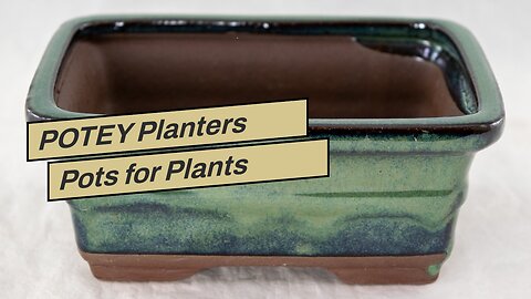 POTEY Planters Pots for Plants Indoor 054304 6 Inch Ceramic Vintage Style Polka Dot Patterned P...