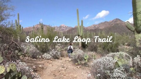 Sabino Lake Loop Trail Arizona