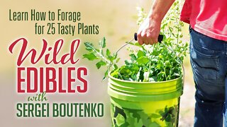 Wild Edibles with Sergei Boutenko | Learn How to Forage for 25 Tasty Plants