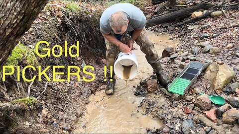 Finding more GOLD PICKERS!!!