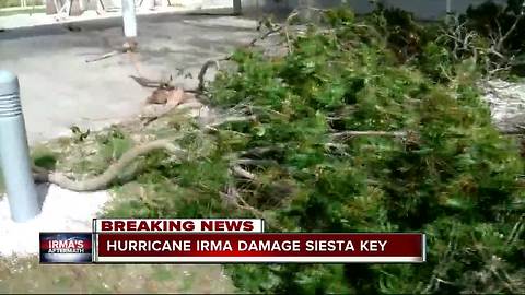 Hurricane Irma damage in Siesta Key