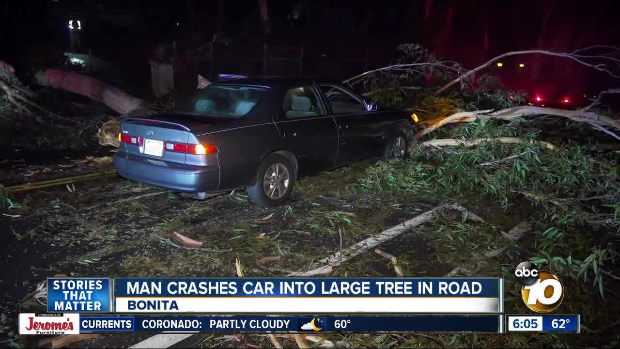 Driver hits tree that fell on road in Bonita