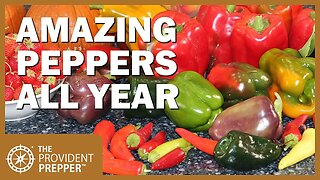 Indoor Garden: How to Grow Amazing Peppers All Year Long
