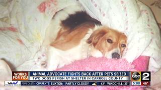 Animal advocate fights back after pets seized