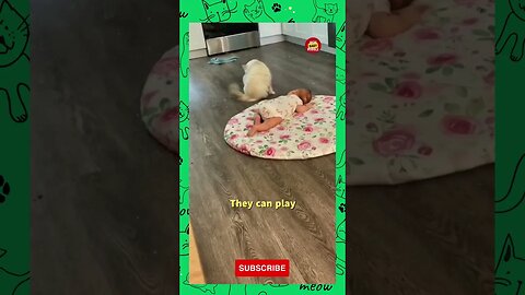 Funny Baby and Cats 🥰 Funny Cat VideosHilarious #shorts #cutebaby