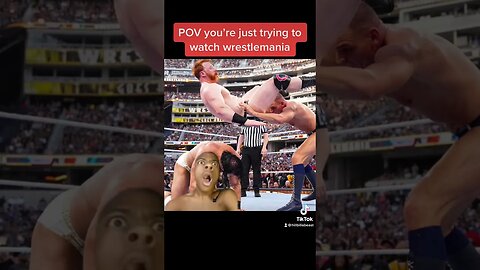 POV you’re watching wrestlemania