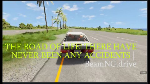 THE ROAD OF LIFE! THERE HAVE NEVER BEEN ANY ACCIDENTS | BeamNG.driv