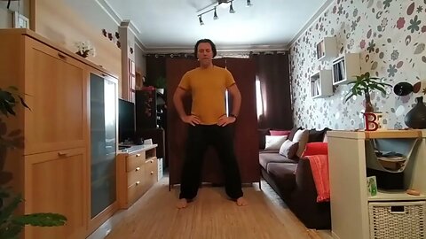 Clase de Tai chi online durante el confinamiento