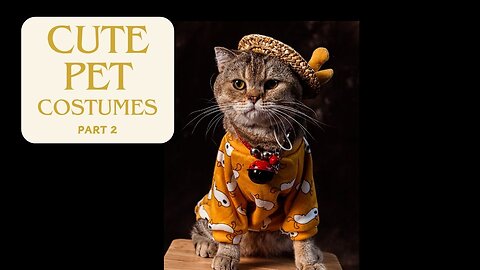 Pawsitively Purrfect: CUTE Cat & Dog Costume Parade!