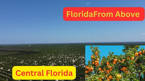 Florida From Above- Central Florida /Beautiful Citrus Groves in Central Florida