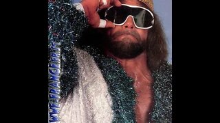 WWE Wrestlers weigh in on Macho Man Randy Savage