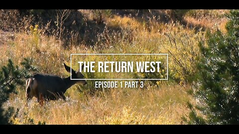 Colorado Public Land Elk Hunting "The Return West" Part 3