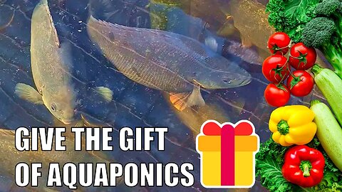 Give the gift of AQUAPONICS with Rob's Guide🐟🍅🥬🥦🎁