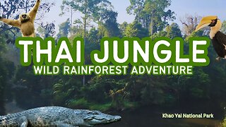 Jungle Adventures: Crocodile Encounters in Thailand
