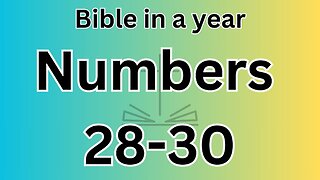 Numbers 28-30