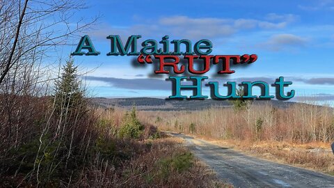 A Maine "RUT" Hunt