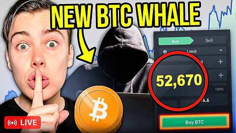 New Mega Whale Is Buying BILLIONS In Bitcoin (On Track To Overtake Michael Saylor)