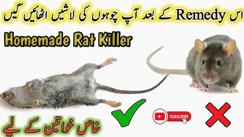 Rat Killer Homemade Remedies | Homemade Rat Poison | Rat Killer | Rat Trap