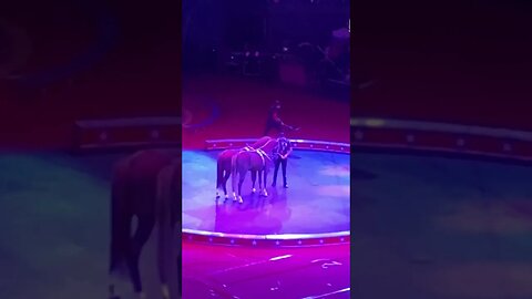 Circus in Tennessee