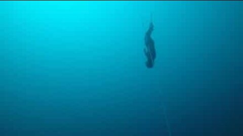 In fondo al mar: a 104 metri di profondità nei Caraibi