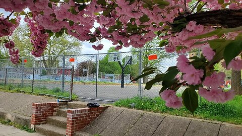 Walking Philly Saturday, April 15, 2023